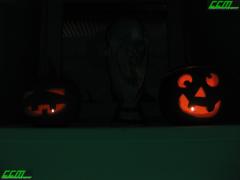 IMG_4325.JPG