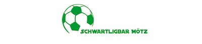Schwartligbar Hallenturnier 2011