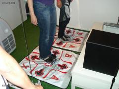 DSC00557.JPG
