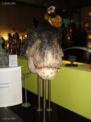 DSC00596.JPG