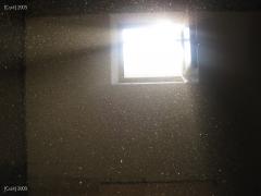 IMG_0812.JPG