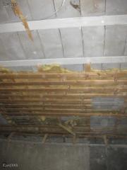 IMG_0819.JPG
