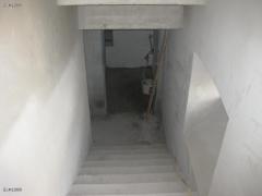 IMG_1798.jpg