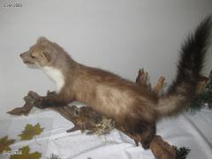 IMG_1976.jpg
