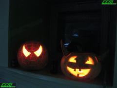 IMG_2605.JPG