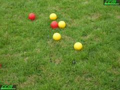 IMG_5659.JPG