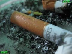 IMG_5769.JPG