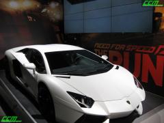 IMG_6204.JPG
