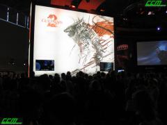 IMG_6335.JPG