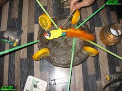 IMG_6380.JPG