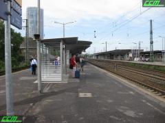 IMG_6403.JPG