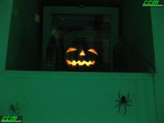 IMG_7535.JPG