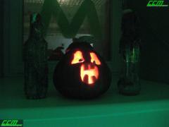 IMG_7540.JPG