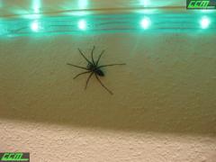 IMG_7545.JPG