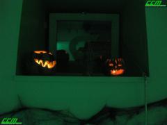 IMG_7556.JPG