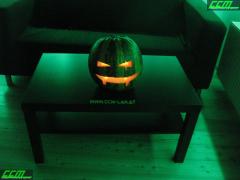 IMG_7559.JPG