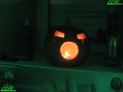 IMG_8787.JPG