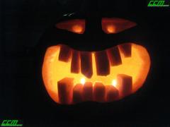 IMG_8791.JPG