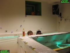 IMG_8802.JPG